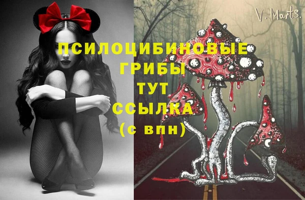 шишки Алзамай