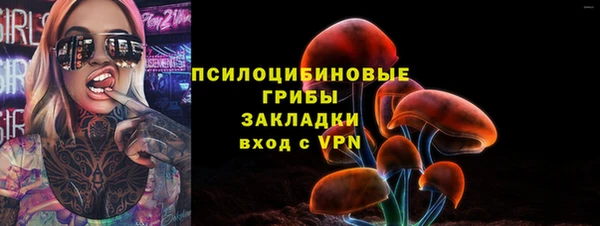 шишки Алзамай