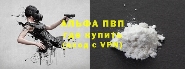 шишки Алзамай