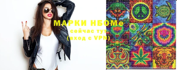 шишки Алзамай